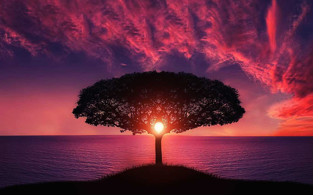 Разработка магазина